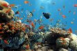 Red Sea tour